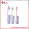 Plastic Shoe/clothes Brush mould with Good Price(CZ-205)