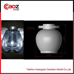 plastic bottle blowing mould with competitive price(CZ-962)
