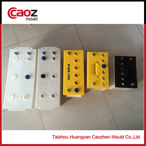 plastic/variety battery case injection mould(CZ-849)