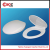 Plastic Toilet Seat Cover Injection Mould with Good Price(CZ-839)