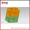 Hot selling plastic medium crate mold with competitive price(CZ-19)