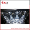 2 cavity plastic beverage bottle blowing mould(CZ-966)