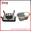 injection mop bucket mould with good price(CZ-313)