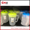 plastic injection jug mould with good price(CZ-165)