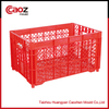 Hot selling plastic grape crate mold with competitive price(CZ-14)