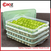 plastic dumpling box injection mould with good price(CZ-115)