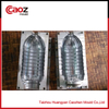 different type water bottle blowing mould with competitive price