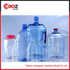 different type water bottle blowing mould with competitive price