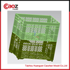 Hot selling plastic grape crate mold with competitive price(CZ-14)
