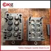 High quality plastic flip cap injection mold 
