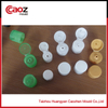 plastic bottle flip cap injection mold with competitive price(CZ-971)