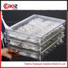 plastic dumpling box injection mould with good price(CZ-115)