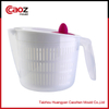 plastic injection jug mould with lid(CZ-740)