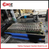 multi cavity used plastic peg injection mould(CZ-987)