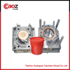 10liter paint bucket injection mould with good price(CZ-308)
