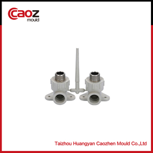 plastic ppr fitting mould with screw design(CZ-804)