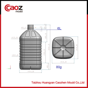 6liter plastic bottle mould from caozhen(CZ-984)